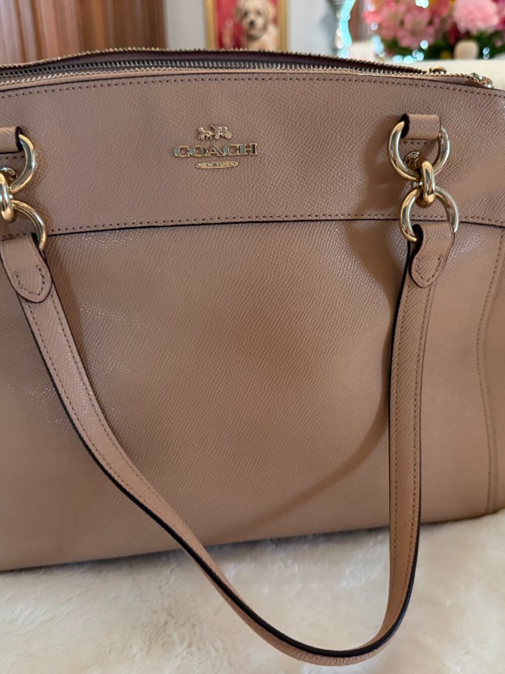 Coach bag